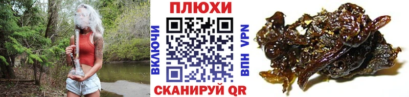 ссылка на мегу как войти  Никольское  Гашиш 40% ТГК 