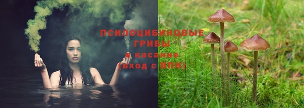 метадон Абинск