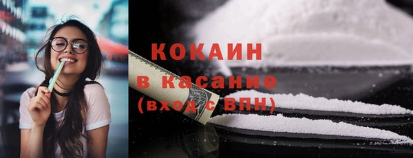твердый Абаза