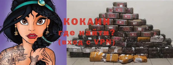 твердый Абаза