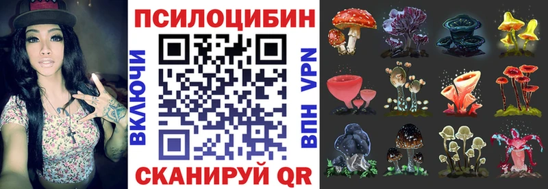 Псилоцибиновые грибы Psilocybe  mega зеркало  Никольское 